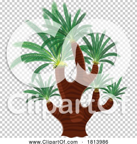 Transparent clip art background preview #COLLC1813986