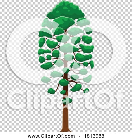 Transparent clip art background preview #COLLC1813988