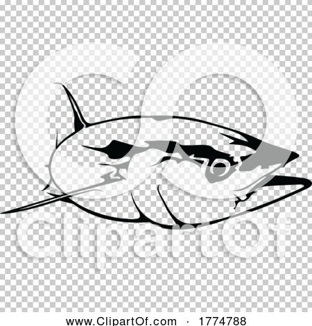 Transparent clip art background preview #COLLC1774788