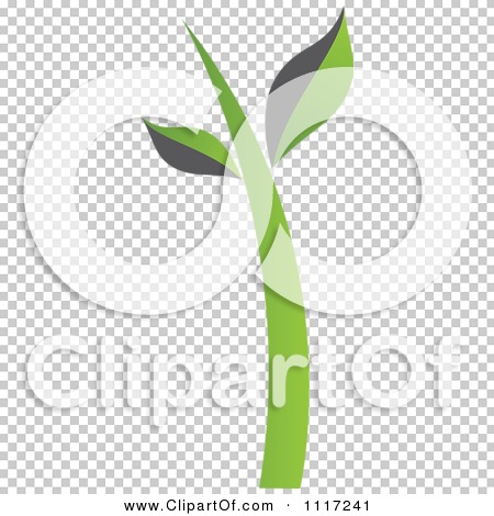 Transparent clip art background preview #COLLC1117241