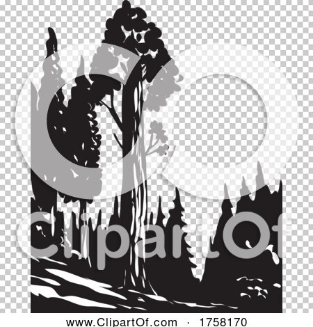Transparent clip art background preview #COLLC1758170