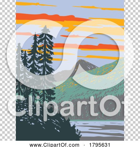 Transparent clip art background preview #COLLC1795631