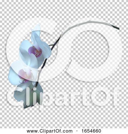 Transparent clip art background preview #COLLC1654660