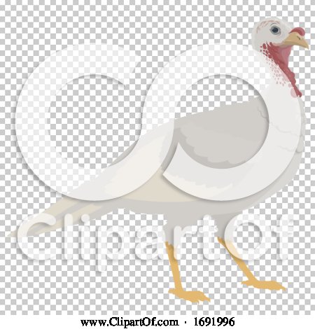 Transparent clip art background preview #COLLC1691996