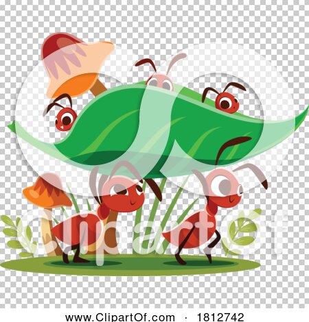 Transparent clip art background preview #COLLC1812742